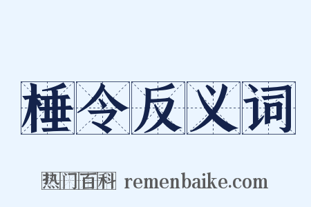棰令反义词是什么意思的图片